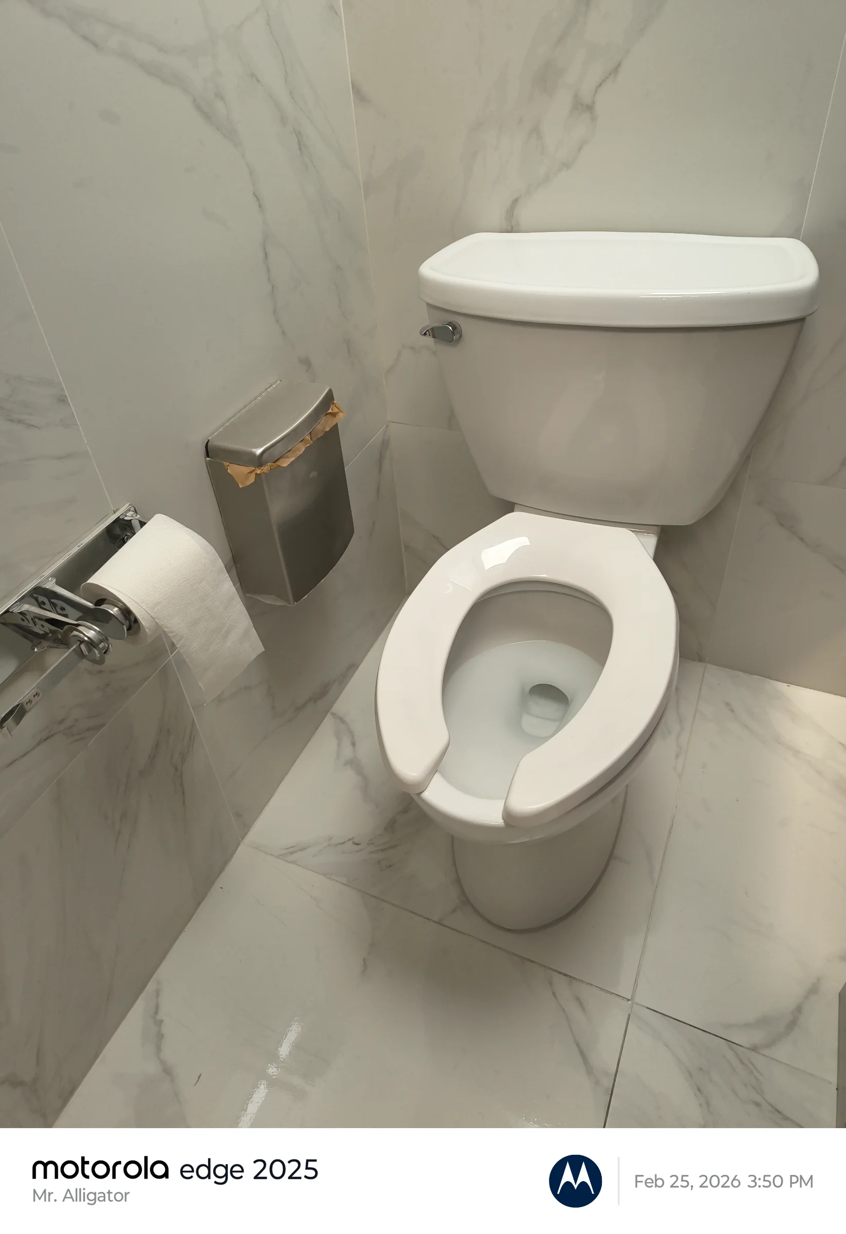 Elongated toilet installation Tampa